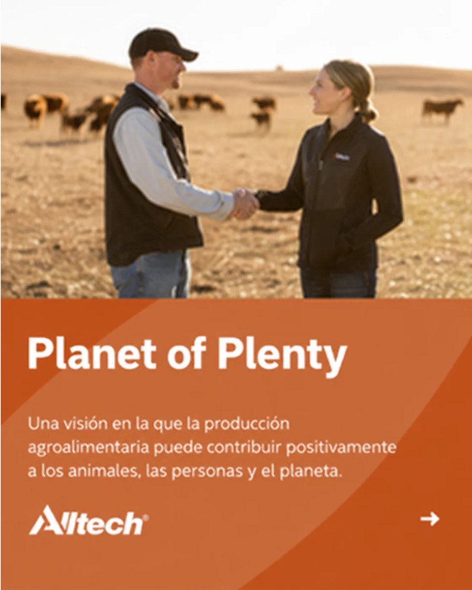 AlltechSpain's tweet photo. 🌍 En Alltech trabajamos para convertir conocimiento e innovación en soluciones que ayuden al sector a seguir avanzando hacia un futuro más sostenible.

Working Together for a Planet of Plenty®

#AlltechSpain #PlanetadeAbundancia #ProducciónAnimal https://t.co/ka0QOq4M6g