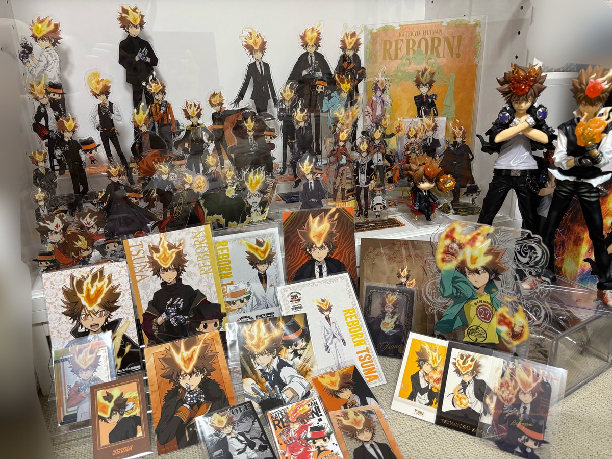 zeroarc1's tweet photo. 沢田綱吉生誕祭でめちゃくちゃ飾るの頑張ったアクスタ達を見て思ったんだけどさぁ、めちゃくちゃ私は沢田綱吉に注ぐグッズ量パナイなと思った笑
あっれぇ〜？こんなに量あったの？笑えねぇと笑えるの両方を感じた https://t.co/PVqyKZrb5A