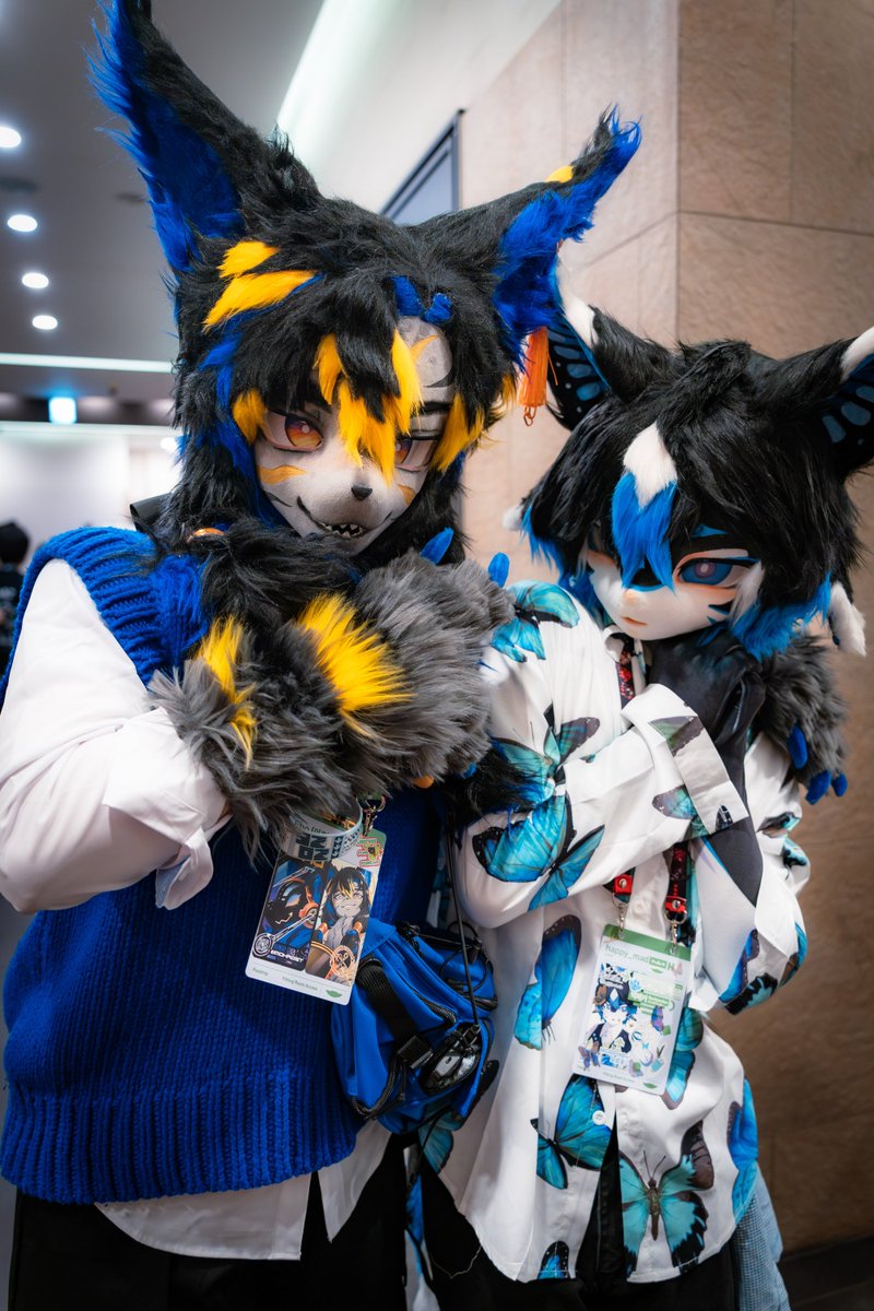 imohazet's tweet photo. 아무것도 안 했는데 어쩐지 바짝 쫄아있는 모르포

💙💛 @ imohazet 
🩵 @ happy_mad_sfw 
📸 @ Blueprint_ture https://t.co/N0R0ltI287