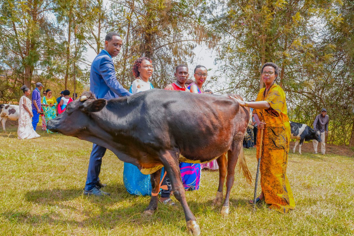 CityofKigali's tweet photo. Muri #KigaliYacu, twizihije Umunsi Mpuzamahanga wahariwe umugore wo mu cyaro tuzirikana uruhare rwe mu nzego zifata ibyemezo nk'umusingi w’impinduka zirambye. 

Umuyobozi w'Umujyi wa Kigali Wungirije Ushinzwe Ubukungu n'Imibereyo y'Abaturage Urujeni Martine ari kumwe na Visi Perezida wa Sena y’u Rwanda Nyirahabimana Solina, Abadepite n’abandi bayobozi batandukanye bifatanyije n'abaturage b'Umurenge wa Rusororo muri @Gasabo_District. 

Ibirori byo kwizihiza uyu munsi byaranzwe no kwishimira ibikorwa by’iterambere byakozwe n’abagore kandi byabahinduriye ubuzima ndetse no gushima abagore bafite ibikorwa by’indashyikirwa byagize impinduka mu mibereho yabo n’abandi, kuremera abagore bafite amikoro make n'ibindi. 

#KigaliYacu