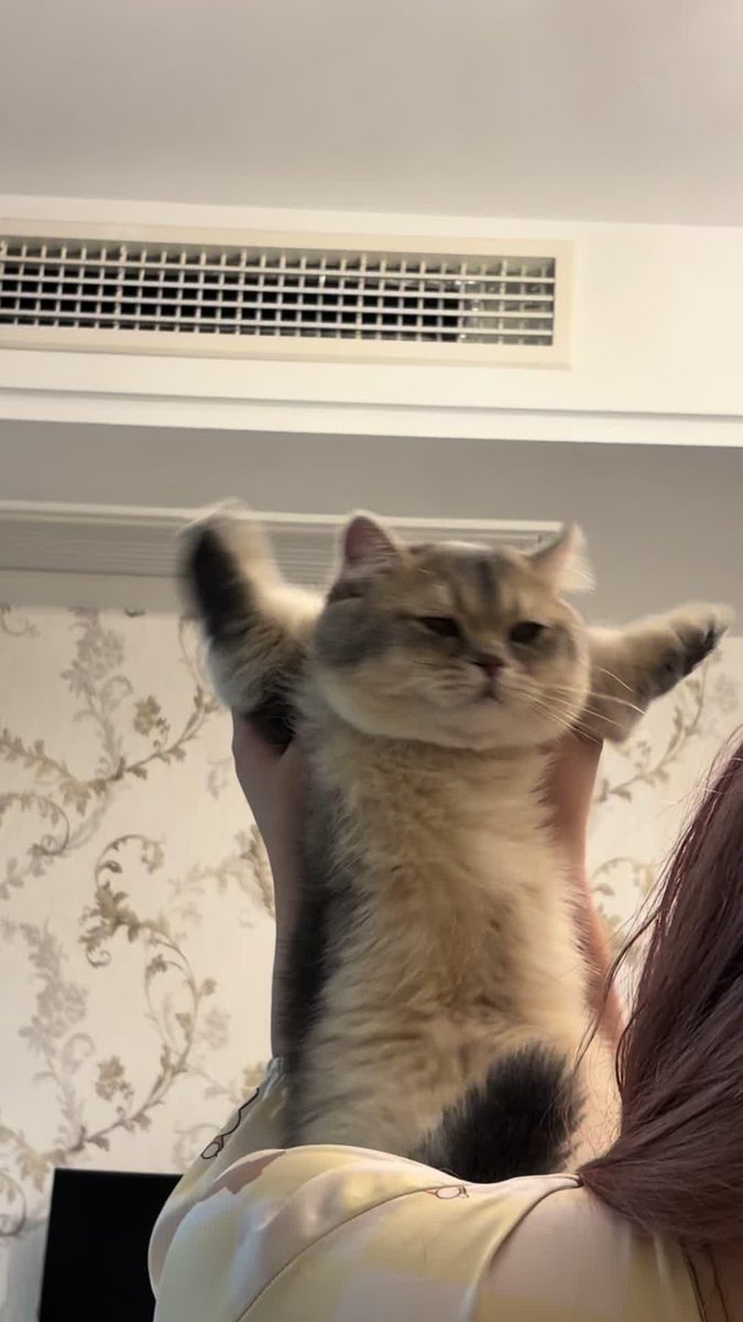 dellunera's tweet photo. MAKASI YA ALLAH UDH CIPTAKAN KUCING😭🫶🏻 https://t.co/B7b5K2GbeY