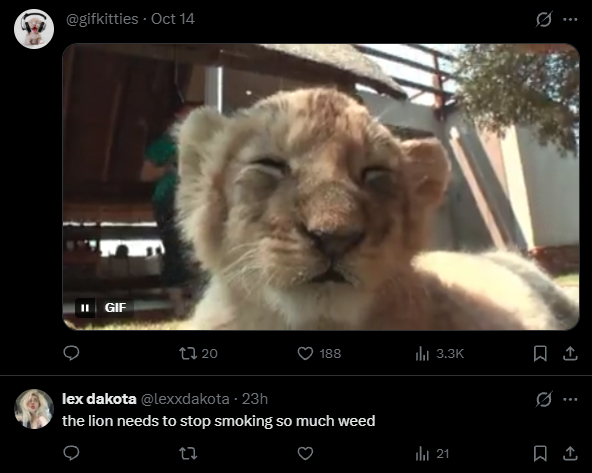 meowscab's tweet photo. https://t.co/JjZq5Msaet