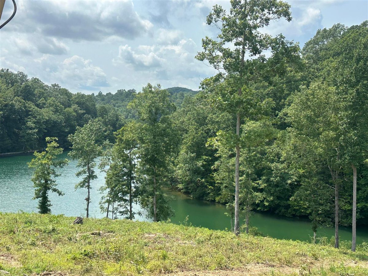 DonnaCheek1's tweet photo. Vacant land for sale! There's so many things you can do with it. #Land #RealEstate
CENTURY 21 ADVANTAGE REALTY DONNA CHEEK 606-312-2480 Your Best Experience in Real Estate https://t.co/m5mmg5aVTA
