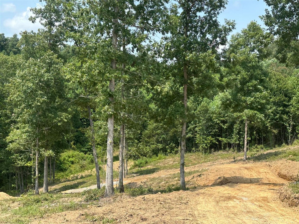 DonnaCheek1's tweet photo. Vacant land for sale! There's so many things you can do with it. #Land #RealEstate
CENTURY 21 ADVANTAGE REALTY DONNA CHEEK 606-312-2480 Your Best Experience in Real Estate https://t.co/m5mmg5aVTA
