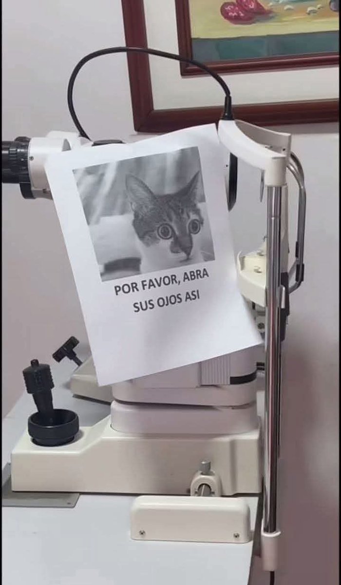 bethy_caastillo's tweet photo. Jajajajajajajaj https://t.co/ANIBoYyVIi