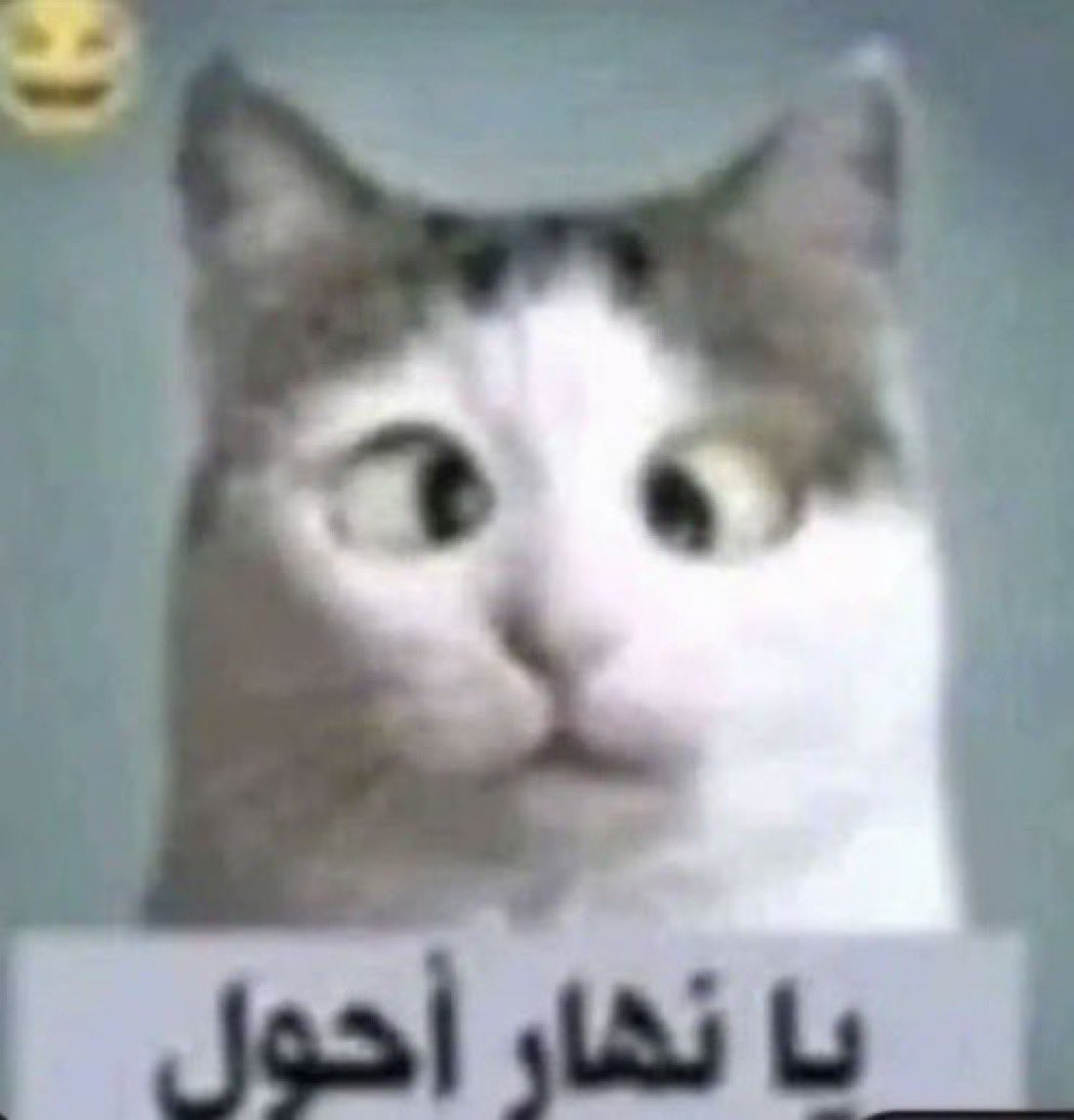 JRiiii_j's tweet photo. @rane_488 هذا مانعرفها https://t.co/JvP3X4ib5z