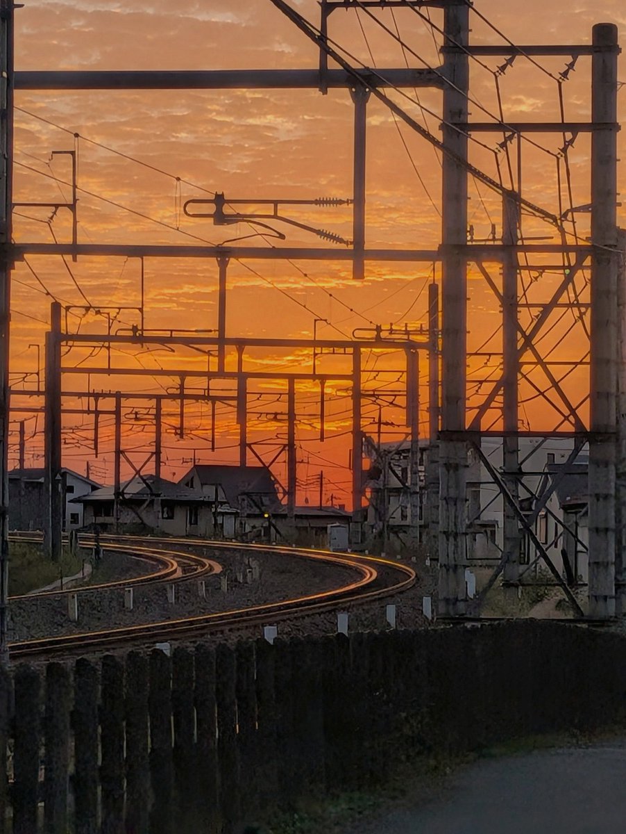 elllugarSPA's tweet photo. 今日は奈良観光🥳
抹茶が俺を待ってるぜ https://t.co/05llbrxY3C
