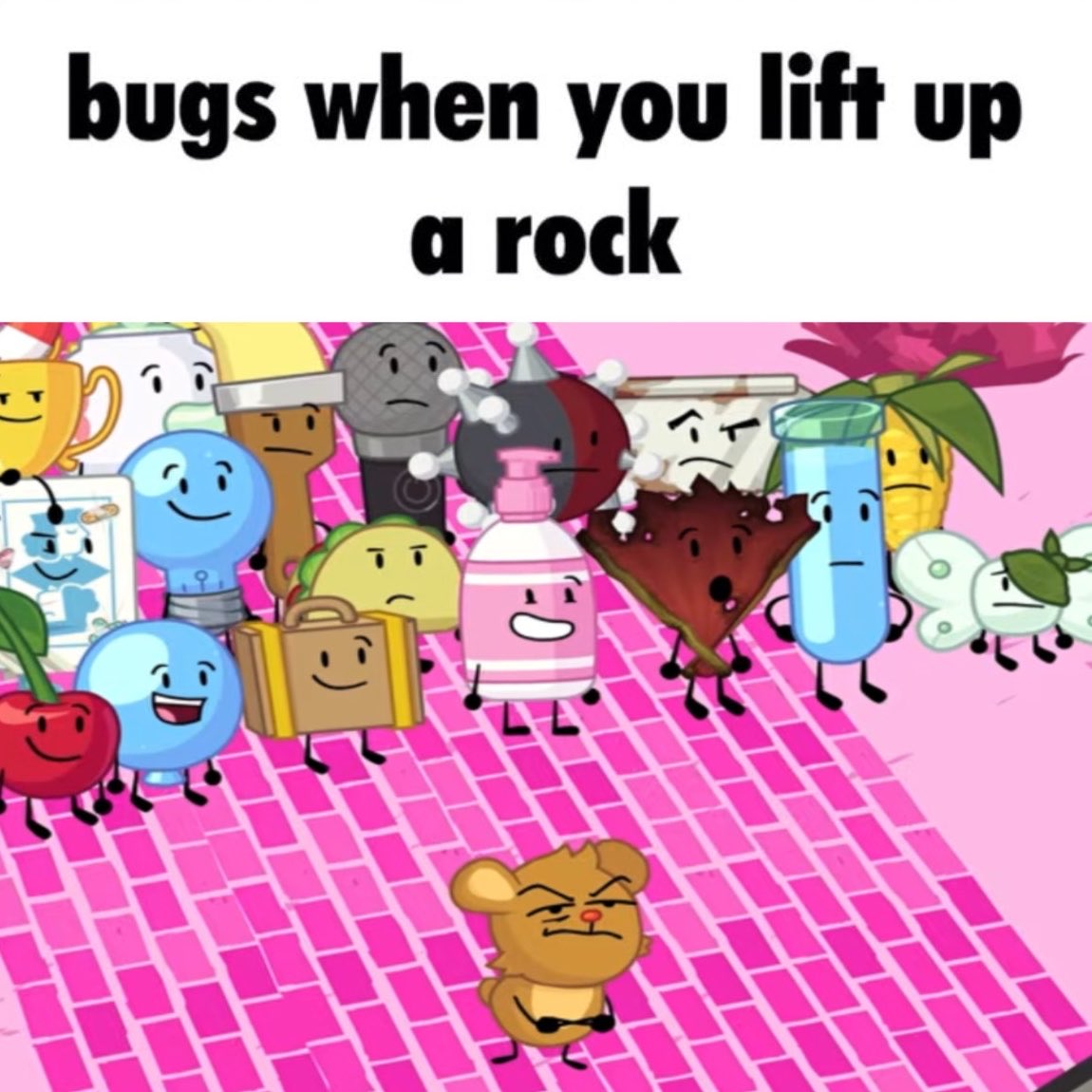 Fry_Bashee139_'s tweet photo. weird bugs🥹 https://t.co/EFonCNWdT1