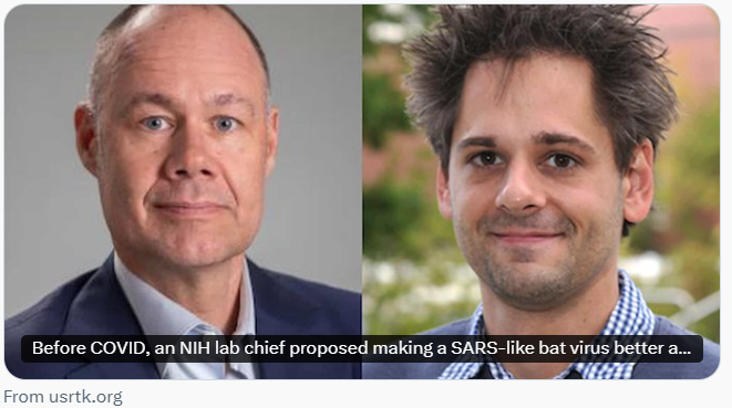 R_H_Ebright's tweet photo. Chan: "What this shows is that different groups of virologists were converging on the idea of inserting cleavage sites in the spikes of potentially dangerous coronaviruses...[I]f a lab in Wuhan hadn't caused the pandemic,...a lab in the US would've...followed the same path." https://t.co/45crZAGDjw