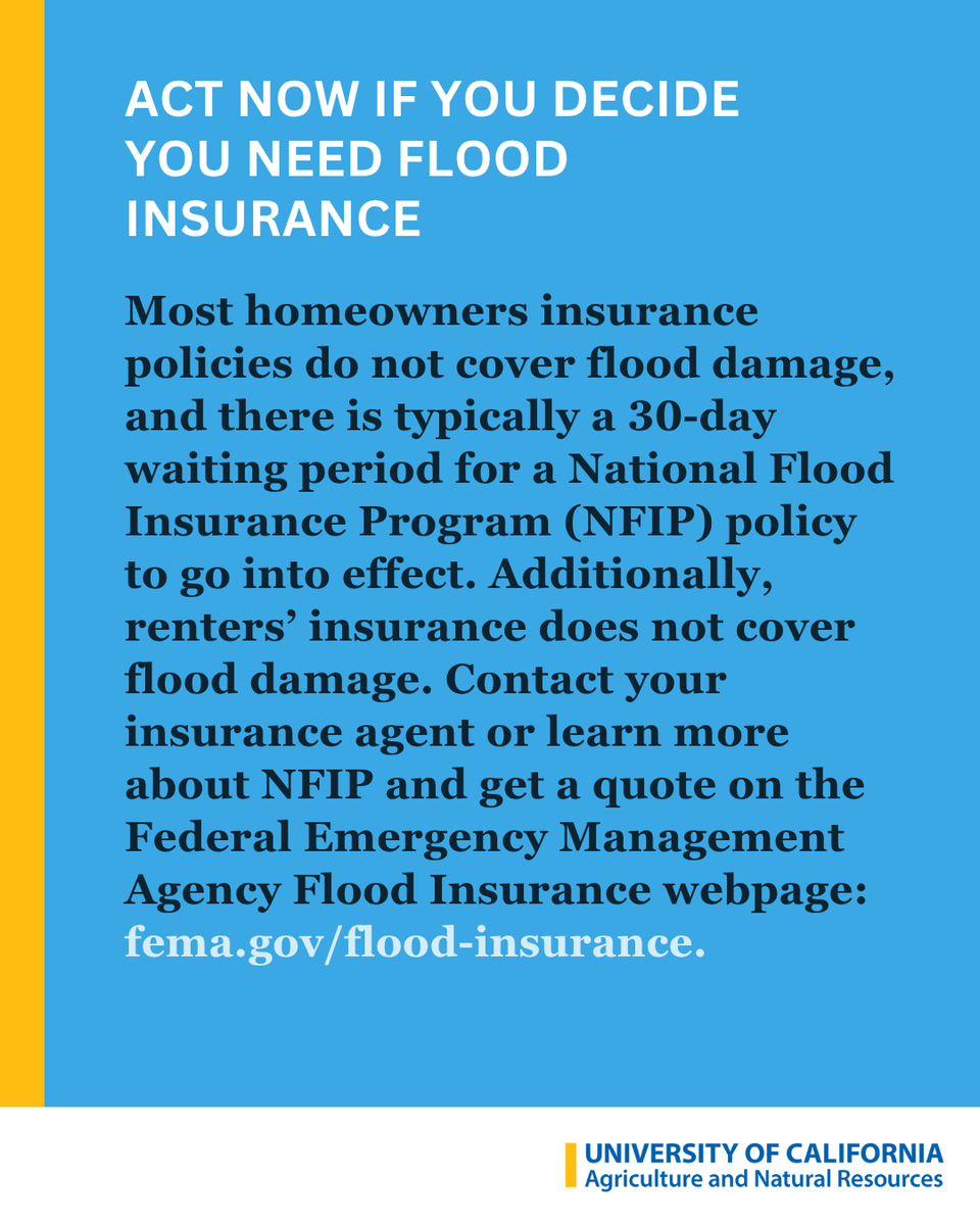 ucanr's tweet photo. Are you ready for a powerful #ElNiño? UC ANR climate scientist Daniel Swain warns of increased flood and storm risks this winter. 

UC ANR experts share 10 steps to prepare. Find all tips and resources here: https://t.co/MSyVUmB8eU

@Weather_West @ucanrwater
#CAwx https://t.co/pFQ9H1QLl1