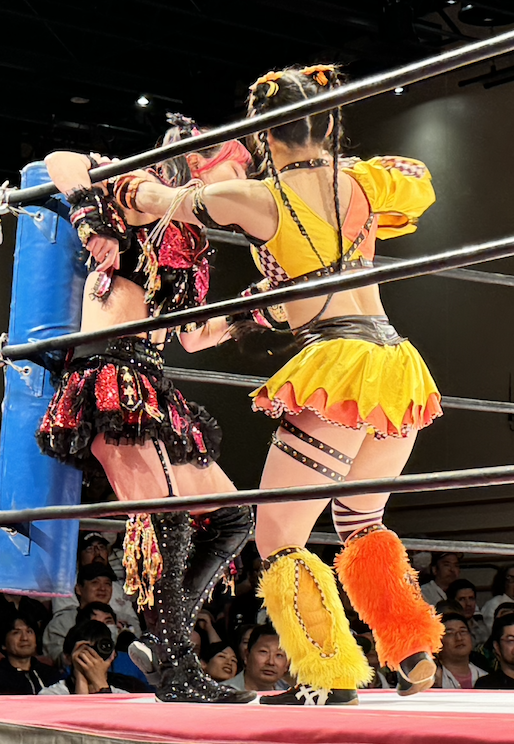 StrollCam's tweet photo. TJPW LIVE TOUR 2024 AUTUMN 2024.10.27 – KFC Hall 

 HIMAWARI 🌻🌻🌻 
– with post-show meet &amp; greet 📸🧝😈  

#HIMAWARI #HIMAWARI_はい #tjpw #東京女子プロレス #KFCホール #両国 https://t.co/9rCGNTTLGP