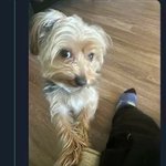 Photo by no context kieran (brief twt break) (@nocontextkier)
