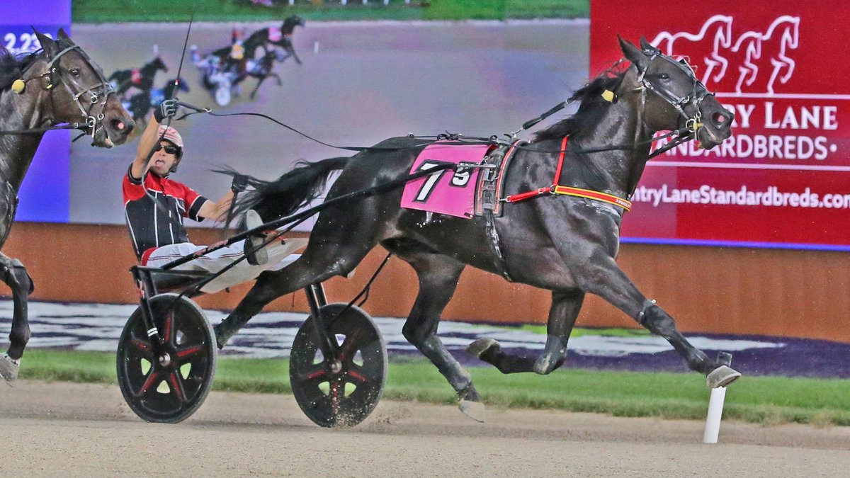 USTrotting's tweet photo. “He’s just a pleasure to be around. He’s been such a cool horse and a blessing to our family."
Trainer Jay Hochstetler has relished having Ponda Jet in his shed row, and their story appears in the October #HoofBeats.
Read more: https://t.co/82U54NZ4Gd
#harnessracing https://t.co/K32ecN0K4s