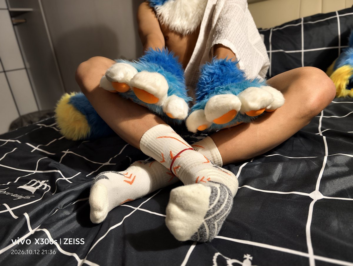 MoKing_ink's tweet photo. 咪，一起睡吗

毛替：@@jiangwanfeng0m
#FursuitFriday https://t.co/Z7mfpNxXwO