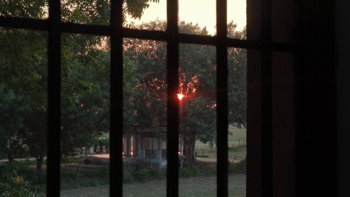 gostudyVee's tweet photo. Behind the bars (+1) https://t.co/zUWhrsJSUd