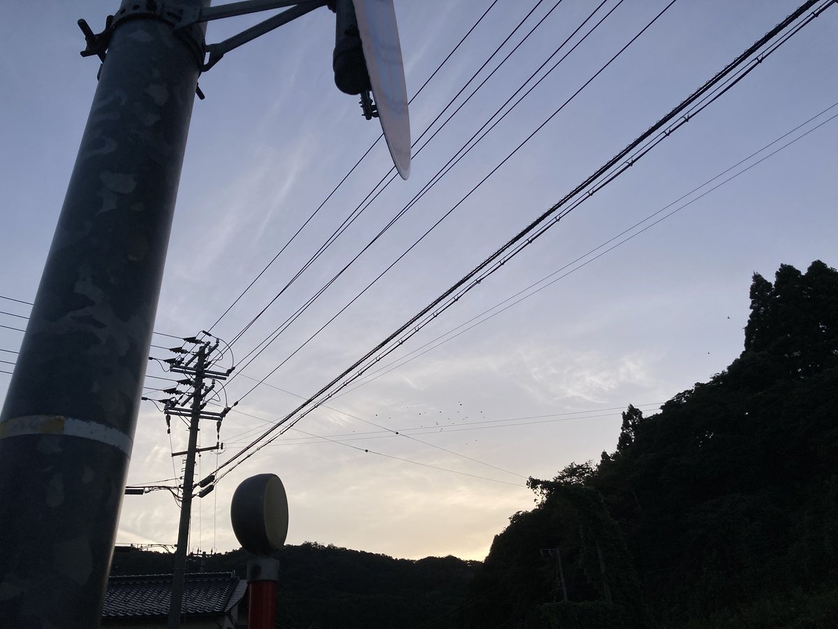 runrunnainuu's tweet photo. おはな　　 #🌹　　#🩷　　#☁️  
 
今日は目が覚めたついでにお散歩🐕
am6:00 https://t.co/BKe9lNLL5u