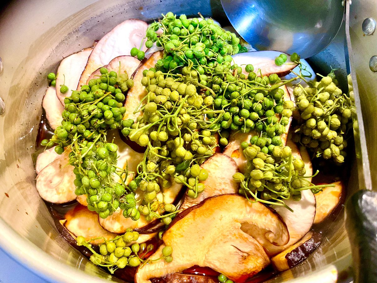 kai_sen_ryu's tweet photo. 白州山の水ドデカ椎茸❣️
椎茸昆布の木の芽炊き(*^▽^*) https://t.co/xS1MLbaTRy