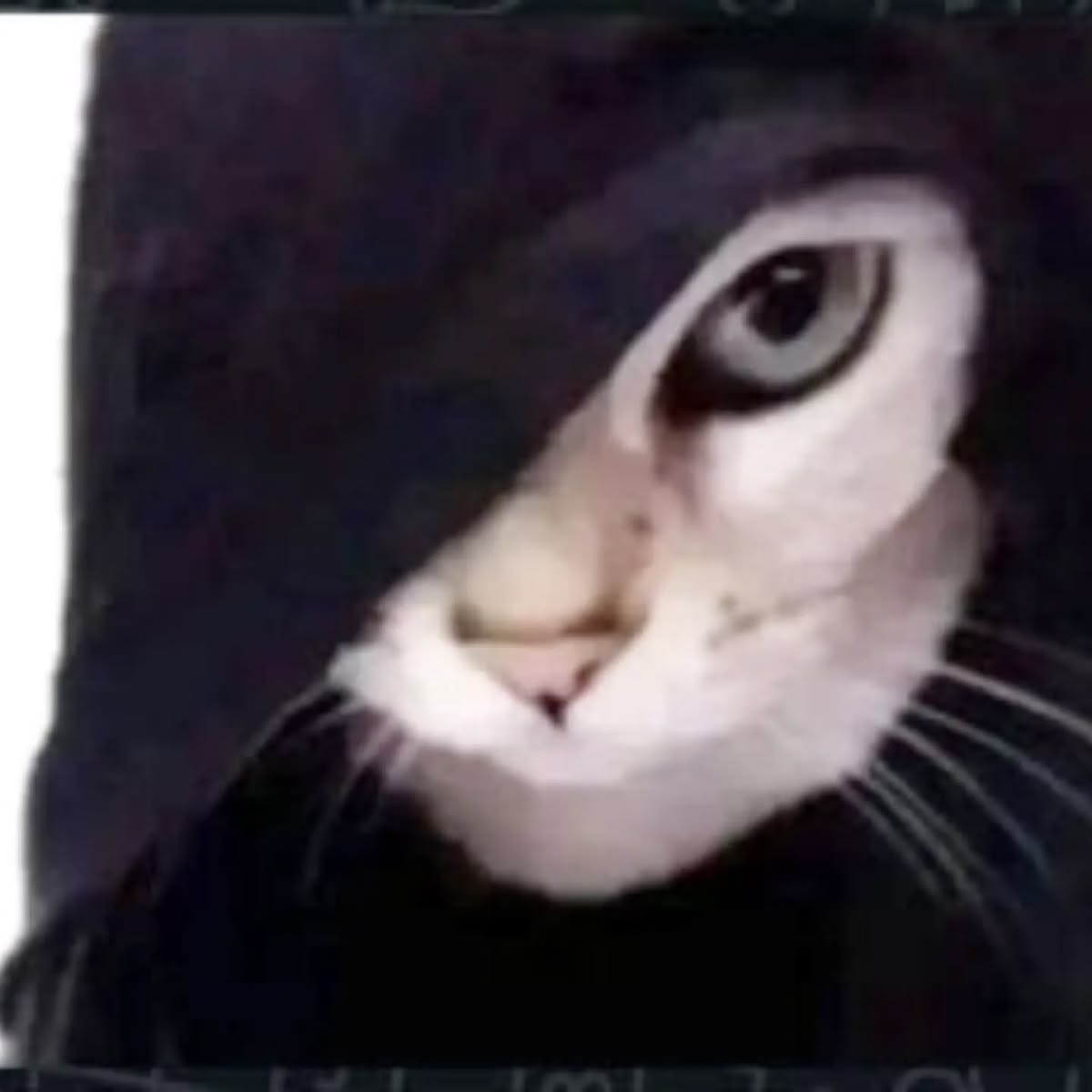 r_7o7d's tweet photo. من الحين اقولكم سوسو وكوكو وقوقو
الي بيسوي قروب ومايدخلني
بسلط عليه الحمراتين و اقولهم انكم توزعون سراويل مجاناً

اللهم بلغت اللهم فأشهد https://t.co/CXfyQ1U4yb