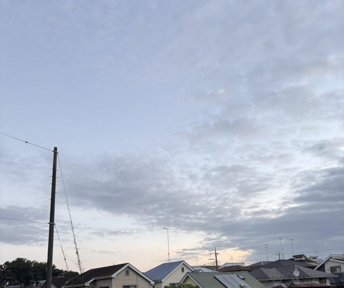 pchan1320's tweet photo. 気候が穏やかだから朝んぽが気持ちぃ☺️ https://t.co/FoFRqYzB56