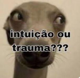 potsminhavida's tweet photo. https://t.co/ugMSQvDGGD