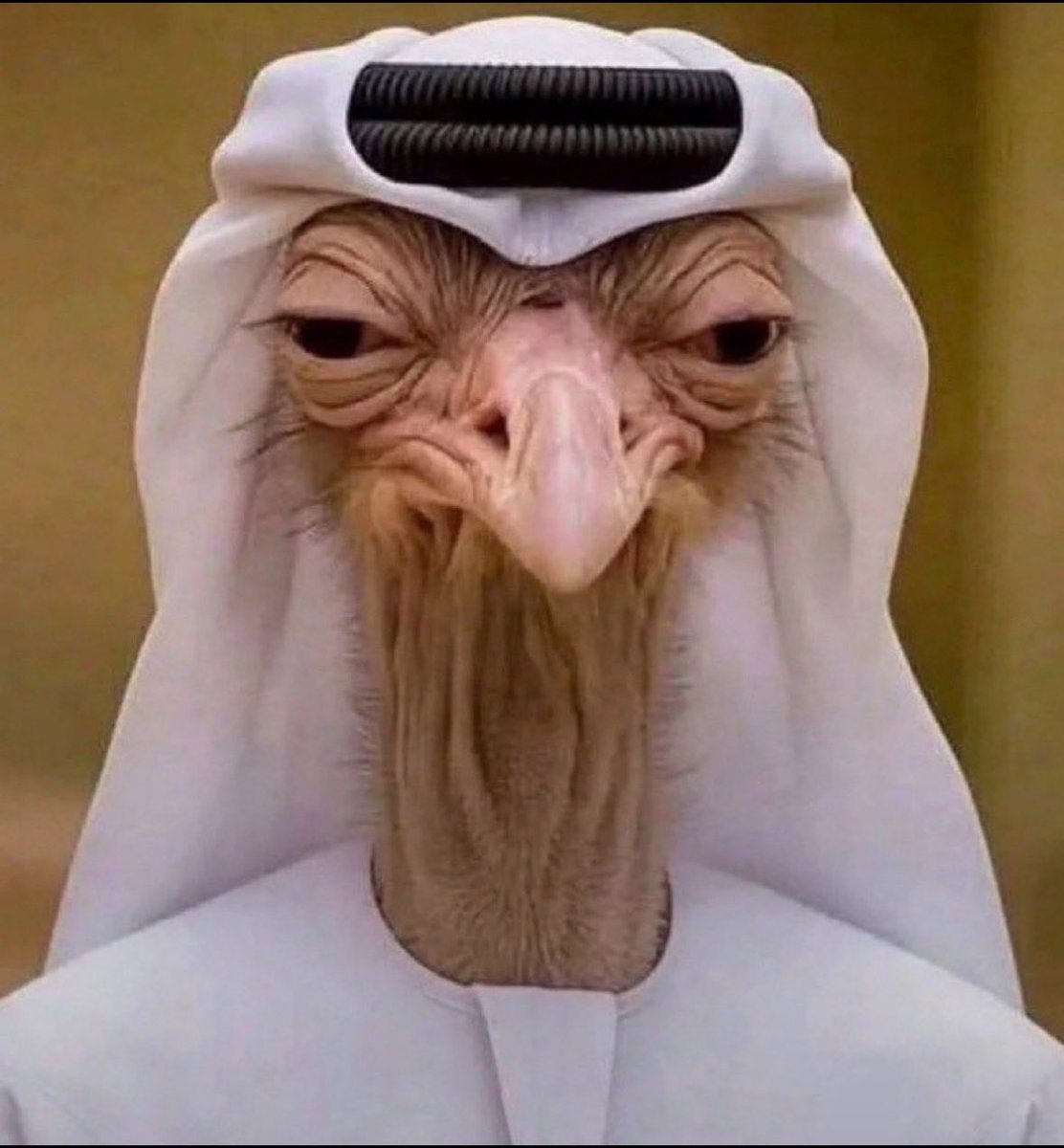 EnziLulu's tweet photo. @mijo_78 أنا موجودة بس تعبانة لو سمحتوا أمسكوا عني الشفت اليوم بس https://t.co/lA3ZAmgTdB