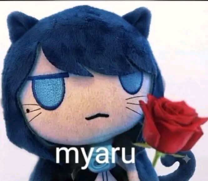 kammy_GT's tweet photo. Siempre existió el MYARU o NYARU https://t.co/RNuy30Idgr