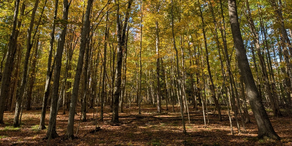 PresquilePP's tweet photo. With only two weeks remaining, now is the perfect time to enjoy crisp autumn air, crackling campfires, and the peaceful beauty of the season. Pack your warm layers, gather around the fire, and make one more camping memory before the season comes to a close! https://t.co/JuaXuk5T6N