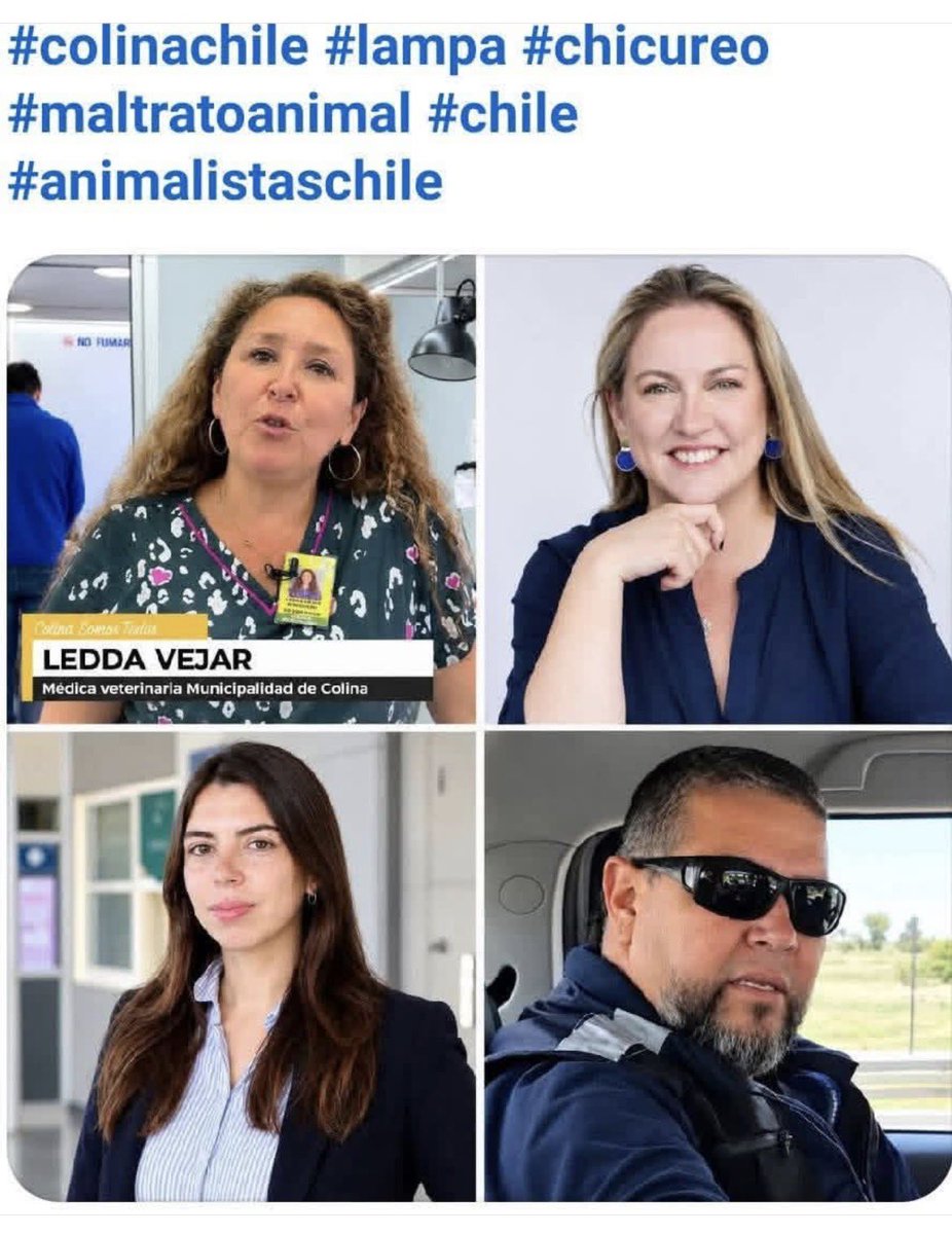 Dexdexdex10's tweet photo. Bastard@s asesin@s de perritos https://t.co/cYkOlPgweD