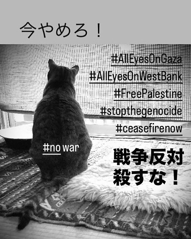 samanos_K's tweet photo. 今やめろ！
#FreePalestine
#stopthegenocide
#Ceasefirenow
#AllEyesOnGaza
#AllEyesOnWestBank

FCK IS RA HELL https://t.co/ezmGiBQWyJ