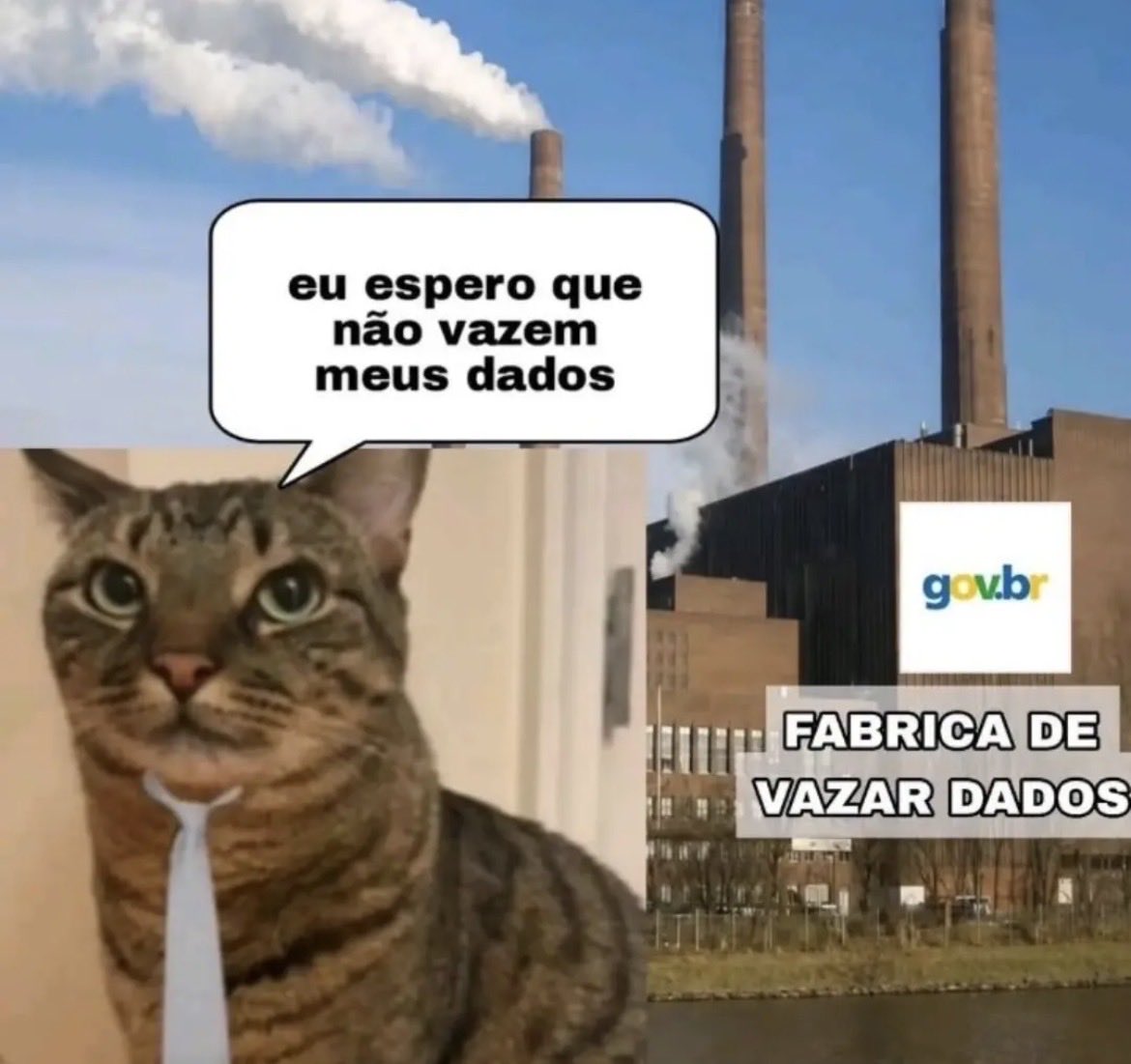 terraplanajr's tweet photo. @basedPererecas https://t.co/pNSJVebM5k