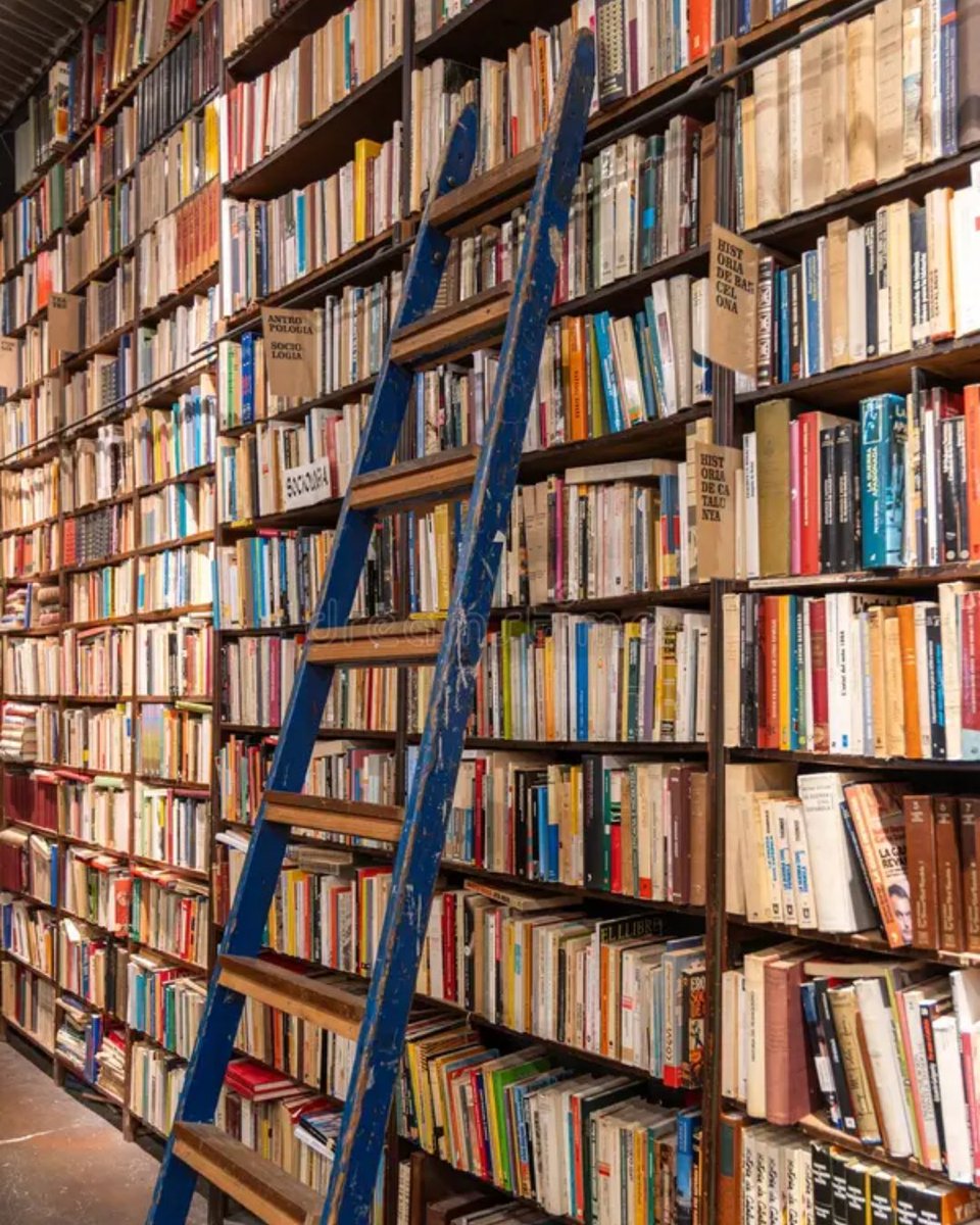 imagoodpanda's tweet photo. Before the cloud, we had the shelves. Before the algorithm, we had index cards. If you wanted to query a database back then, you didn't run a script - you climbed a ladder. 😃 

Welcome to the OG offline data centers. No fan noise, just dust. No reboots, just silence. https://t.co/4Y0SsCfbyL