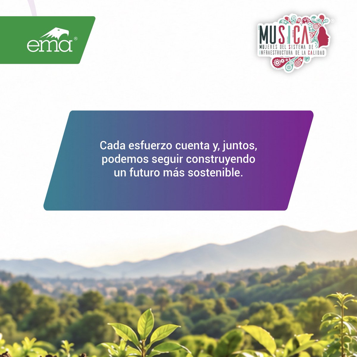 mujeres_snic's tweet photo. 💜🌿 ¡En MUSICA A.C. celebramos este gran logro!

🏅 Junto con @ema_ac recibimos una Mención Honorífica de @PROFEPA_Mx por nuestro compromiso con la gestión circular de textiles y plásticos.

♻️ ¡Sigamos sumando esfuerzos por un futuro sostenible! 🌎💚

#MUSICA #ema #PROFEPA https://t.co/WNAOjcF10P