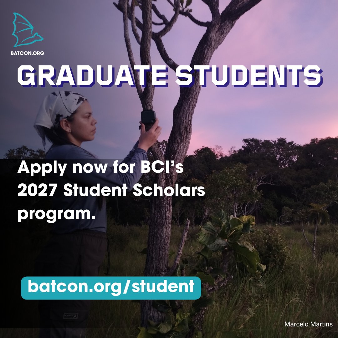 BatConIntl's tweet photo. 🧑‍🏫 Grad students! Apply now for our 2027 Student Scholars program at https://t.co/jGTZxLwLdP. 
Applications close October 31st. https://t.co/22kyPmQSLt