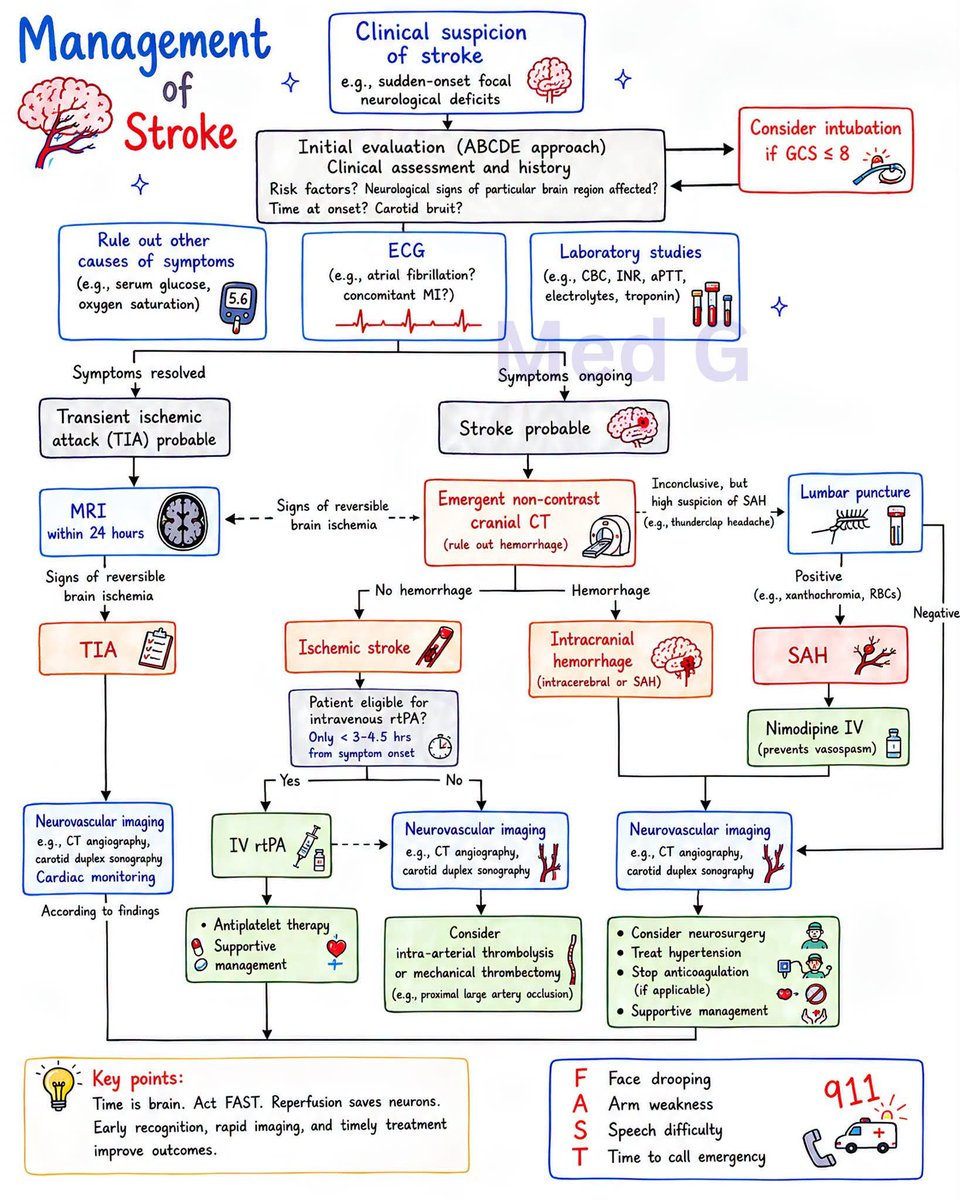 Nursingmedicos's tweet photo. https://t.co/7ZGtT3RgZ7
