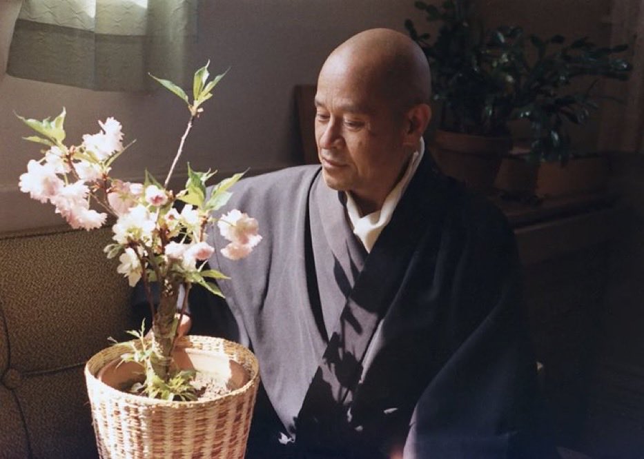 perennialmystic's tweet photo. "Leave your front door and your back door open. Let thoughts come and go. Just don't serve them tea."

~ Shunryu Suzuki https://t.co/9vFNMOs2Sl