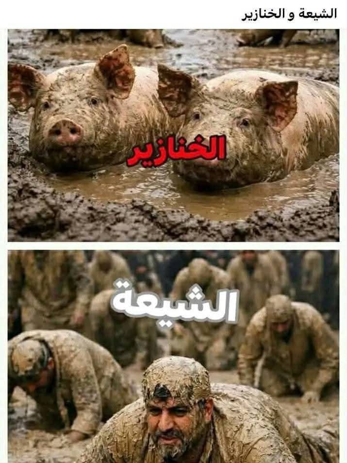 EqbalMohmdd's tweet photo. @furkan51214 @FakhreA53444051 https://t.co/rE8D22M9mQ