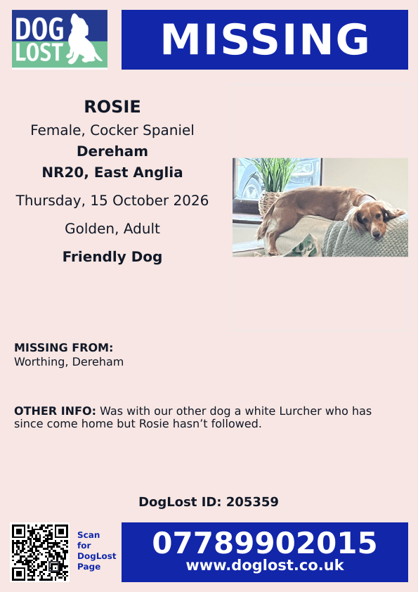 millypod1's tweet photo. 🆘15 OCT 2026 #Lost Rosie #ScanMe
Cocker Spaniel Female
#Worthing #Dereham #NR20 #Norfolk
Was with owners other dog a white Lurcher who has since come home but Rosie hasn’t followed.
https://t.co/Qap7p9gIMx https://t.co/XRkBVMVcYN