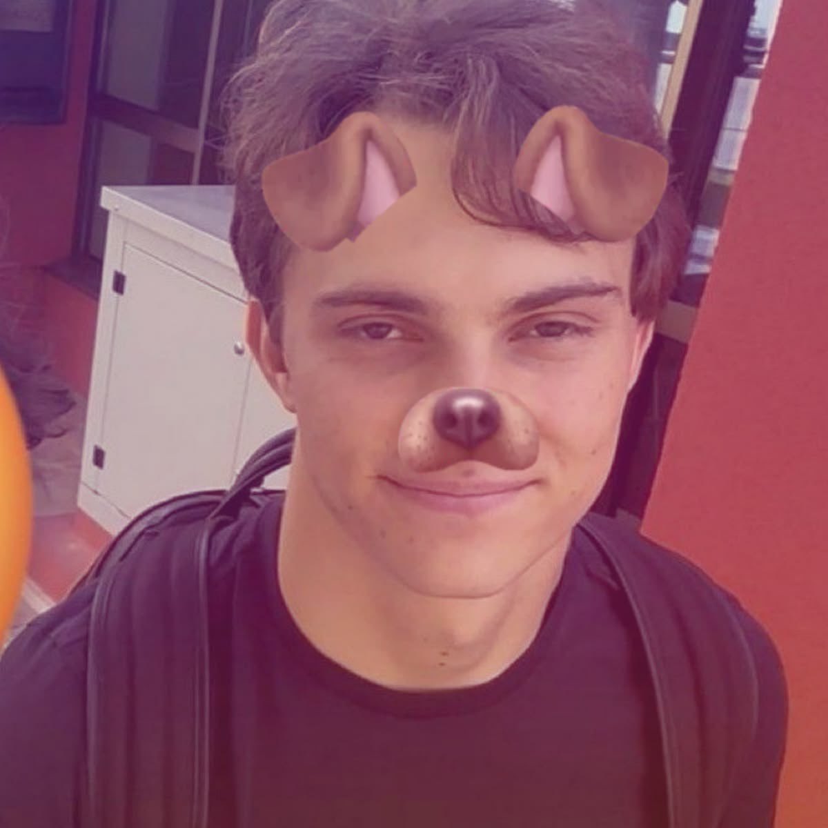 alicepiastri's tweet photo. post a photo of you and your 3 favorite drivers and let oomfs decide who suits you best 👀 hi #f1twt https://t.co/LL39ri70eE