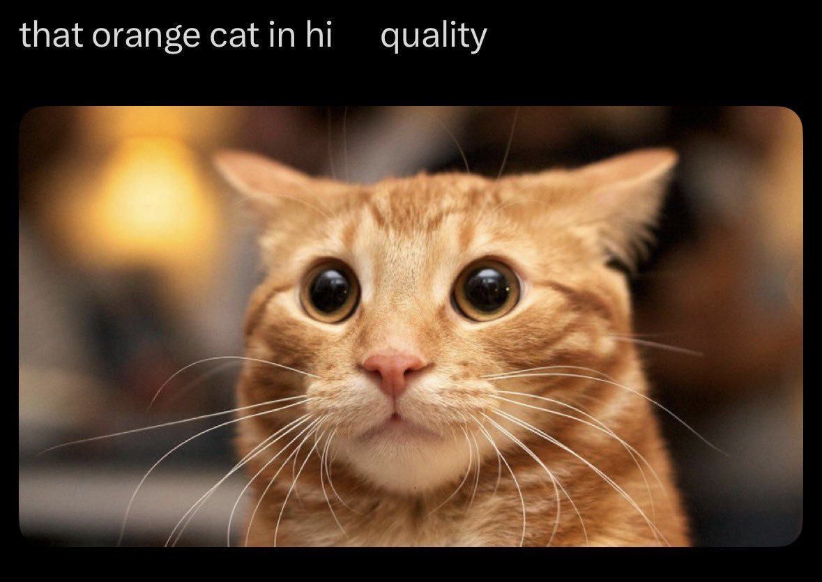 IsShrekInFort's tweet photo. Day 8: No.. well hello there the hi... high quality???? https://t.co/1fsJxig9I7