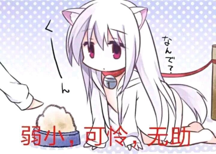 lq0ju3's tweet photo. @BobSmith0105 @wshen6416 叶，我好怕怕 https://t.co/jV5VfLPW5B