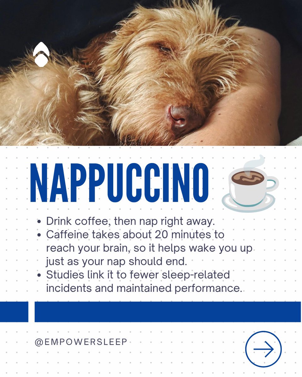 empowersleep's tweet photo. Power nap, cat nap, NSDR, or nappuccino?

Swipe to find your fit. 😴 https://t.co/sVf0qiwiSb
