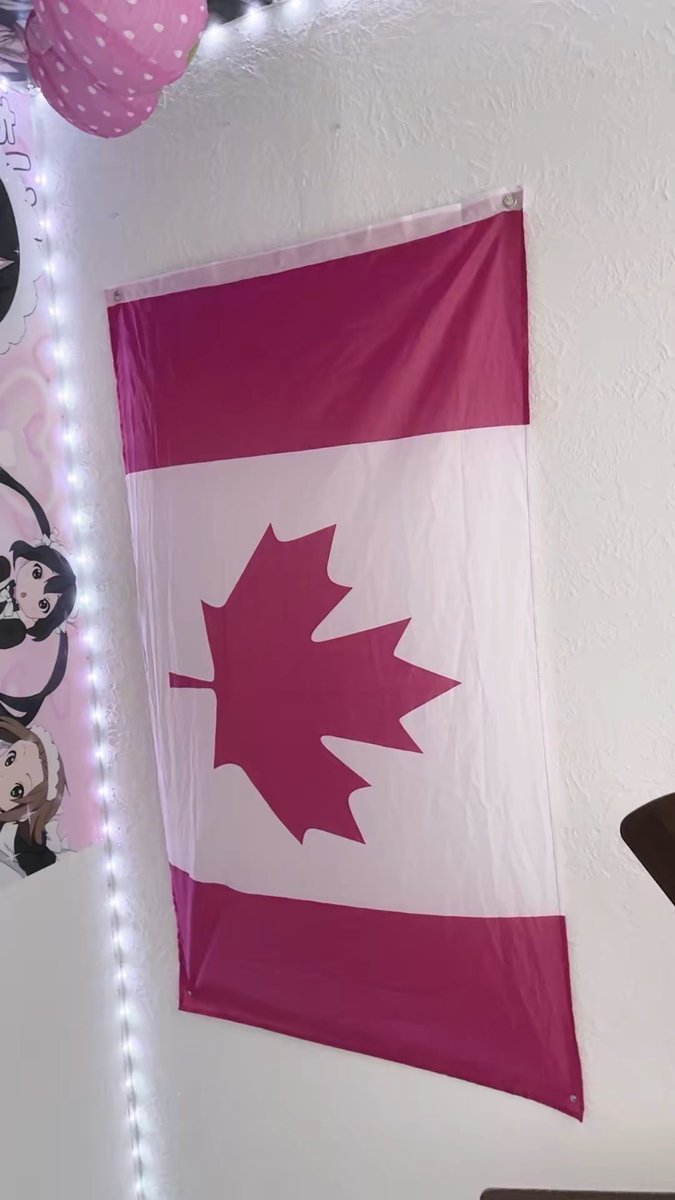 viviii884's tweet photo. who supports me coming out as canadian https://t.co/1YuKywbDS8