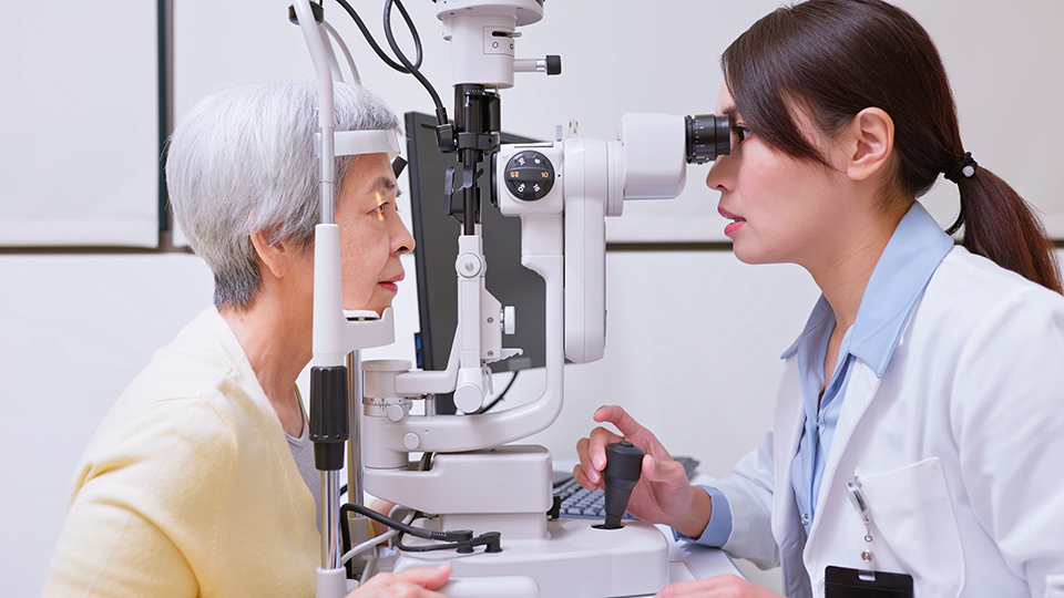 OptometryToday's tweet photo. The @LibDems formally adopted the asks of @The_AOP’s Eye care everywhere campaign as policy during a vote at their party conference. 

Read more in our news story here: https://t.co/jGMTymnWUu https://t.co/nPHUElOryC