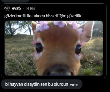 banjodior's tweet photo. best compliment ever amk https://t.co/kZj54z4xbL