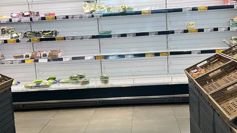 Italia24HLive's tweet photo. 🛒 Continuano i disagi per lo sciopero di agricoltori e autotrasportatori in Puglia: scaffali vuoti nei negozi e lunghe file ai pochi distributori che hanno ancora carburante.

Nelle foto di "San Severo città" la situazione negli scaffali di San Severo (FG). https://t.co/uFbaCQ4nLO