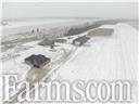 OntAg's tweet photo. 102-acre cash crop farm is available in Jamestown, Ontario ⏬

This farm offers 60 workable acres of loam soil, a fully insulated and heated shop, a 5,000 sq. ft. bank barn, and much more.

https://t.co/AumNFZyHyT

#FarmRealEstate @AgriRealtorOnt https://t.co/elJ2EaqNO5