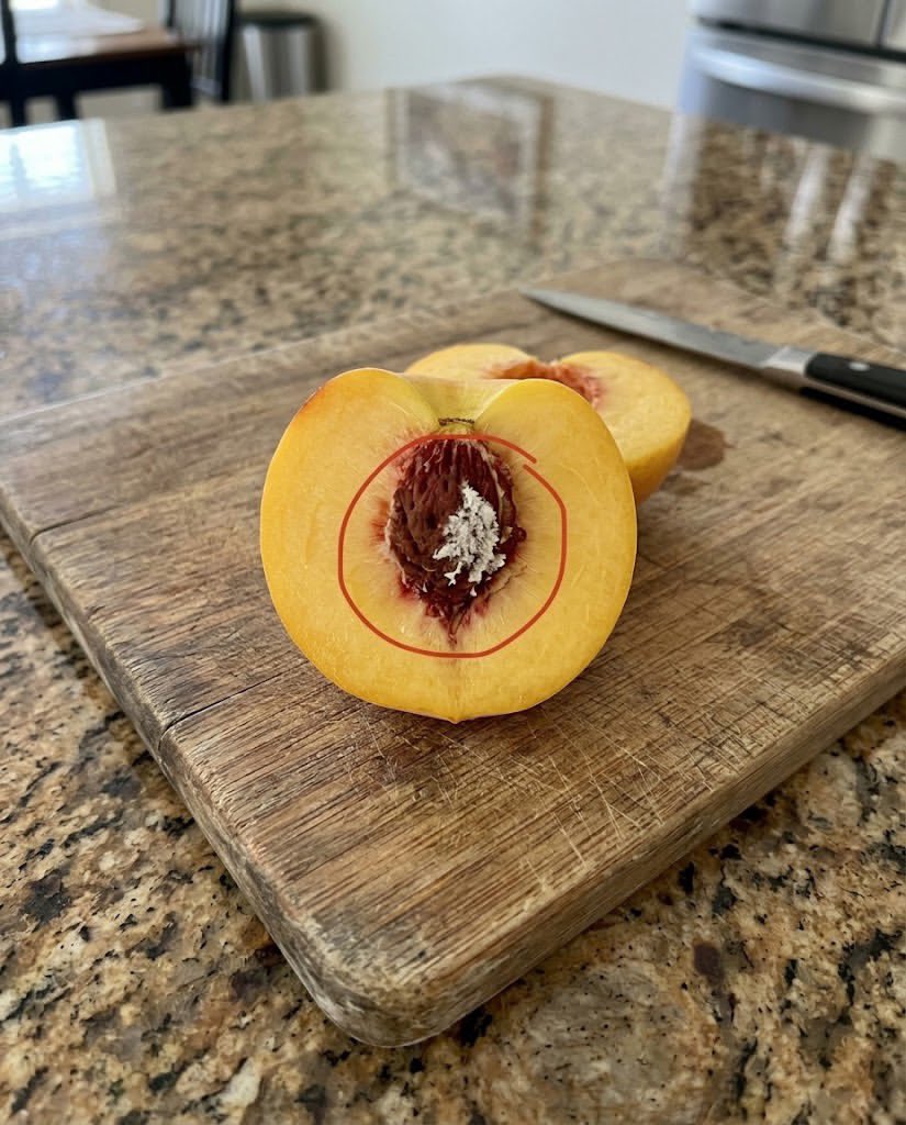 pulseby_M's tweet photo. I cut open a peach that looked completely normal on the outside and found this weird white stuff all around the pit.

My first thought was that it was mold, and I was about to throw the whole thing in the trash. 😳
Then I found out that white stuff inside a peach doesn't always mean what I thought it did.

Have you ever cut into a peach and seen this and would you have eaten it or thrown it out?￼