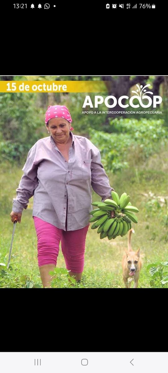 YudithAfmc's tweet photo. felicidades para todas nuestras mujeres rurales, especialmeMuchasnte para las de #LasTunas.
Zenaida Alvres coperativista de la CPA 26 de Julio en el municipio de Amancio 
#MujeresEnRevolución 
#MiBarrioPorLaPatria
#PorLasTunasLaVictoria 
#ANAPCuba https://t.co/qXHS5EhLDw