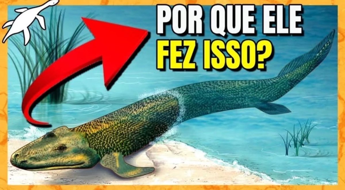 shitpostverdade's tweet photo. https://t.co/AouJkjdTEU