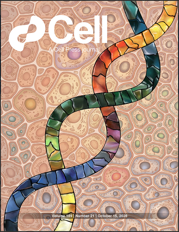 Jacey_Pridgen's tweet photo. Not two cells in our body have exactly the same DNA, making us all genetic mosaics! @SMaHTnetwork is trying to understanding what this mosaicism is doing 

Excited to say that our commentary @Goodell_Lab "The Silent Variation Within Us" about SMaHT's first papers is out now! 1/n https://t.co/65BdHcdDu8